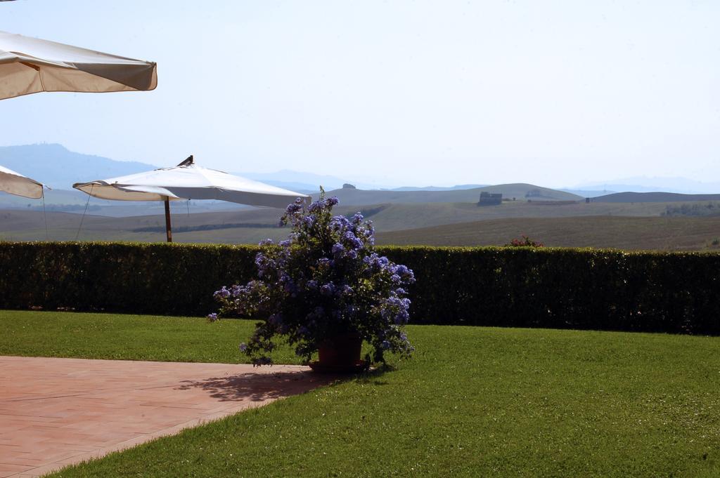 Agriturismo San Francesco Amalia And Anna Orciatico Exterior foto