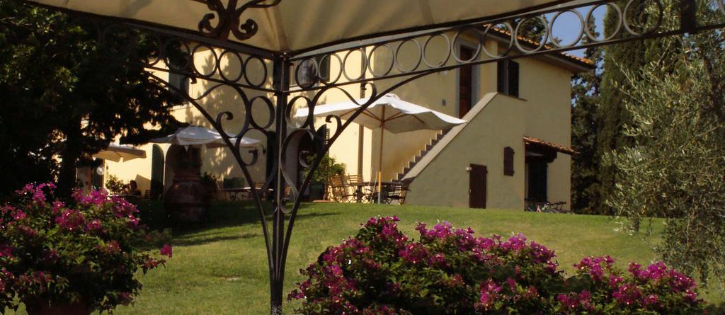 Agriturismo San Francesco Amalia And Anna Orciatico Exterior foto